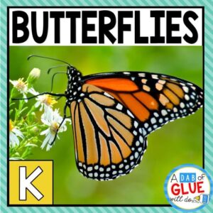Butterfly Animal Study for Kindergarten