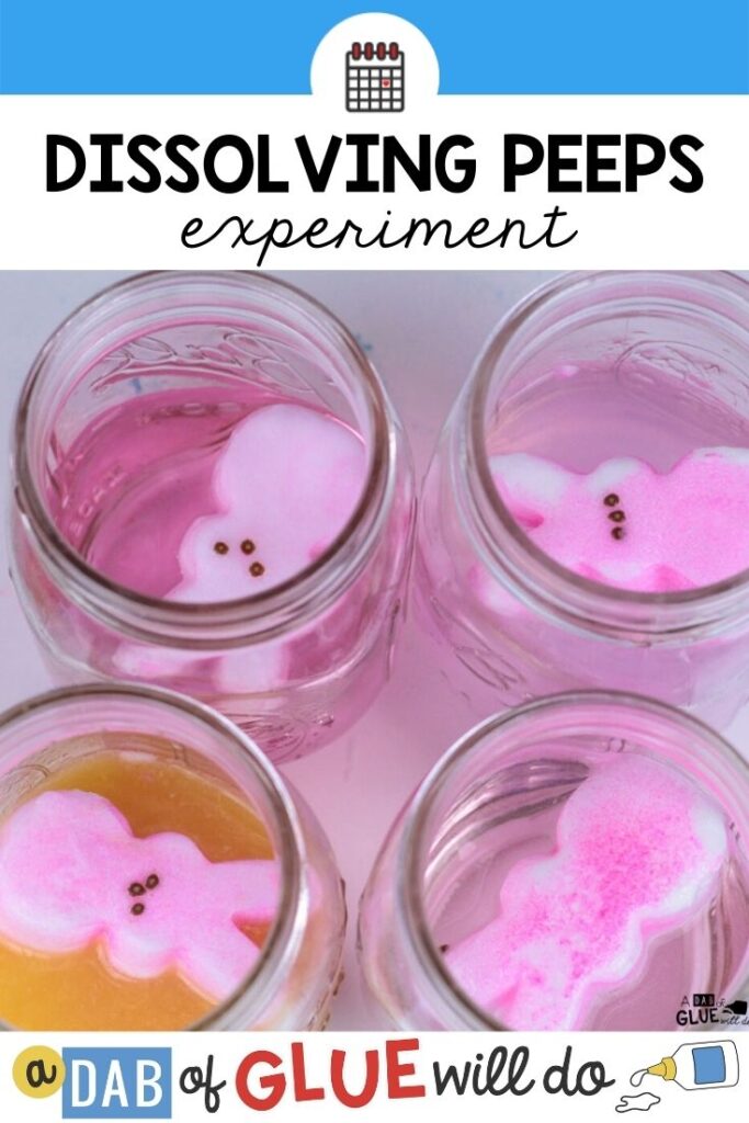 4 jars of liquids with pink marshmallow peeps in them.