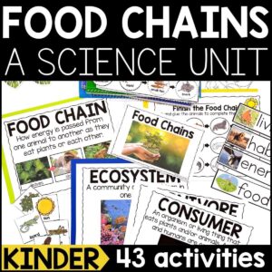 Food Chains Science Unit for Kindergarten