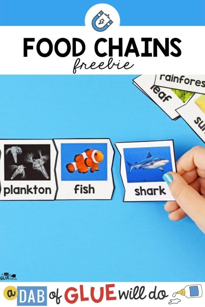 3 puzzle pieces labeled "plankton, fish, shark" connected on a bright blue background.