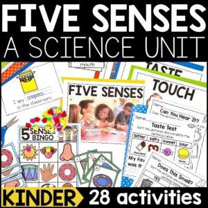 Five Senses Science Unit for Kindergarten - 5 Senses Worksheets and Activities