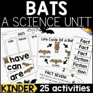 Bats Animal Study for Kindergarten