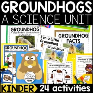 Groundhog Animal Study for Kindergarten