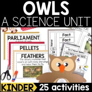 Owls Science Unit for Kindergarten
