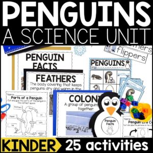 Penguin Animal Study for Kindergarten
