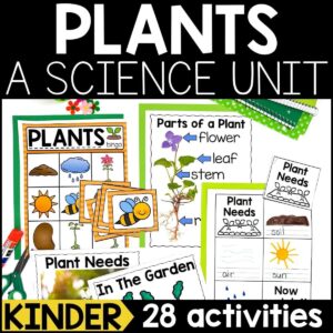 Plants Unit for Kindergarten