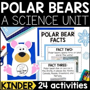 Polar Bear Animal Study for Kindergarten