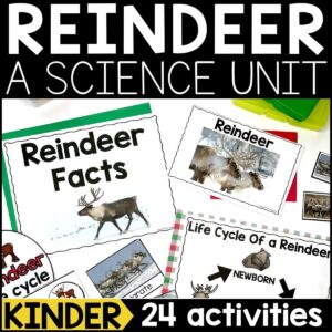 Reindeer Animal Study for Kindergarten