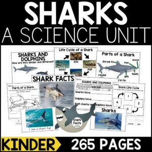 Sharks Animal Study for Kindergarten