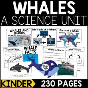 Whales Animal Study for Kindergarten