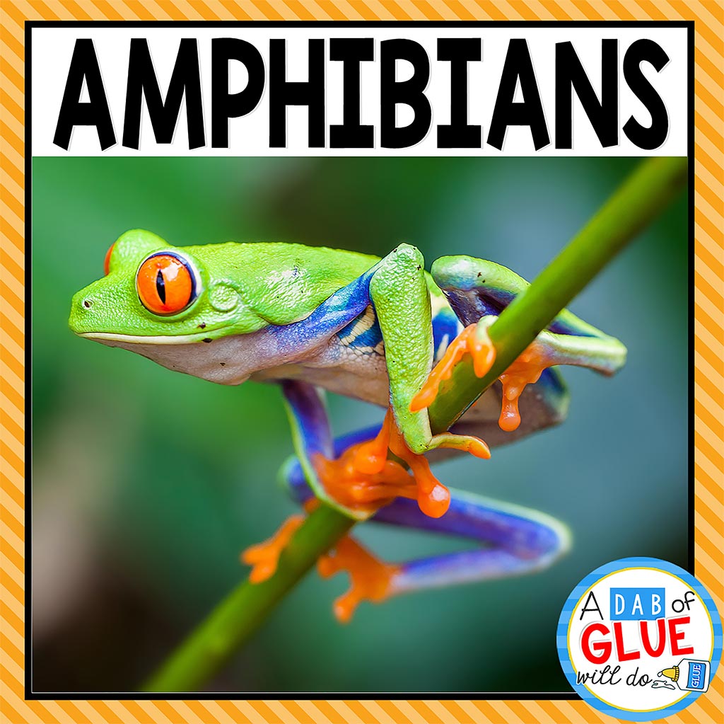 Animal Groups and Animal Classification: Amphibians - A Dab of Glue Will Do