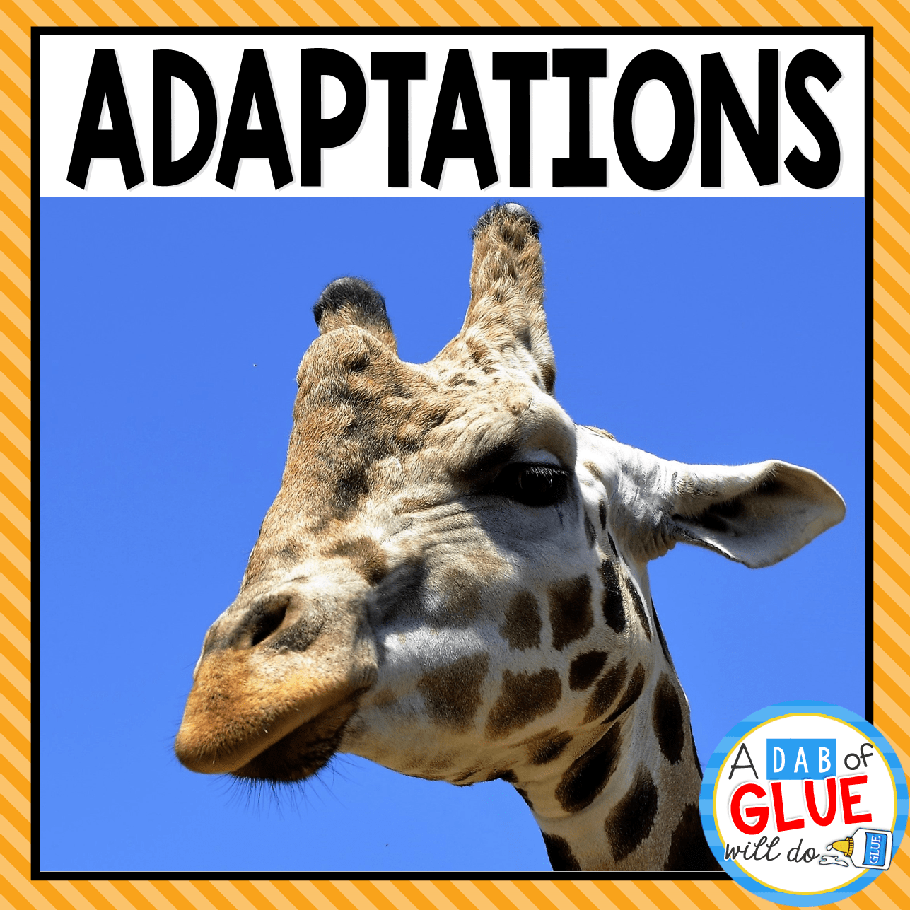 Animal Adaptations (PowerPoint, Posters, Worksheets, and More) - A Dab of  Glue Will Do