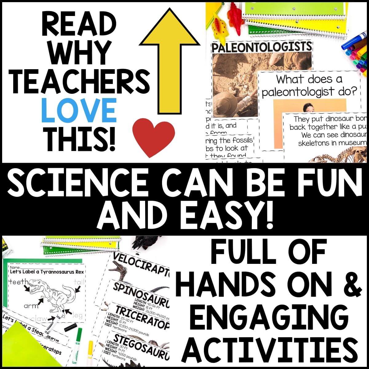 Dinosaurs Science Unit for Pre K - Image 3