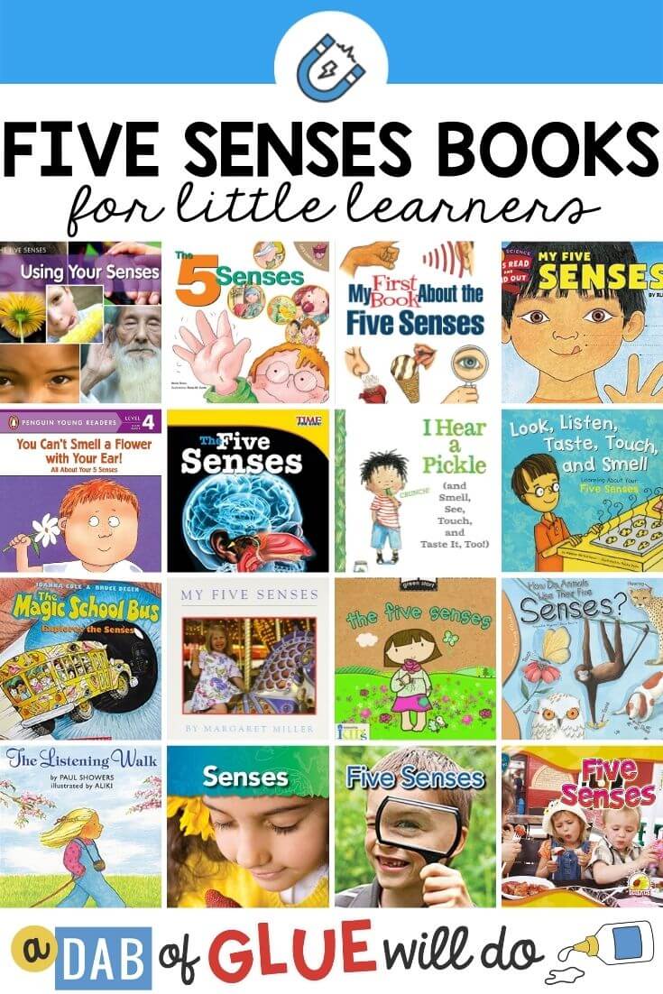 16 Books about the Five Senses for Little Learners