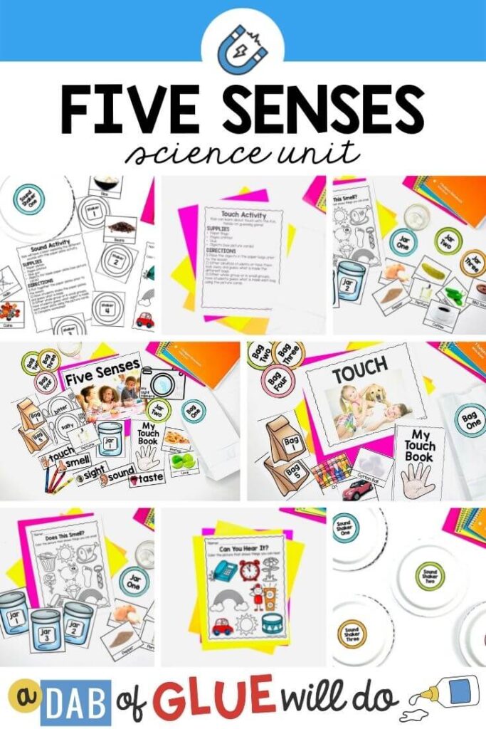 A collage of a five senses science unit for little kids
