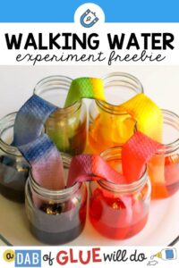 Walking Water Science Activity for Kids