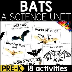 Bats Animal Study for Pre-K