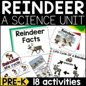 Reindeer Animal Study for Pre-K