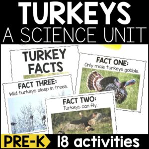 Turkey Animal Study for Pre-K