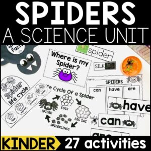 Spiders Animal Study for Kindergarten