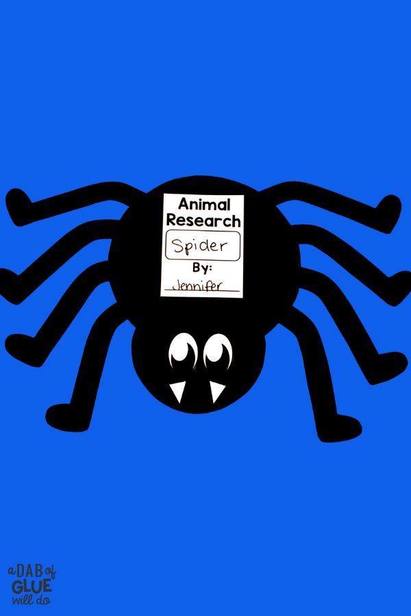 Animal research spiders science unit craftivity 