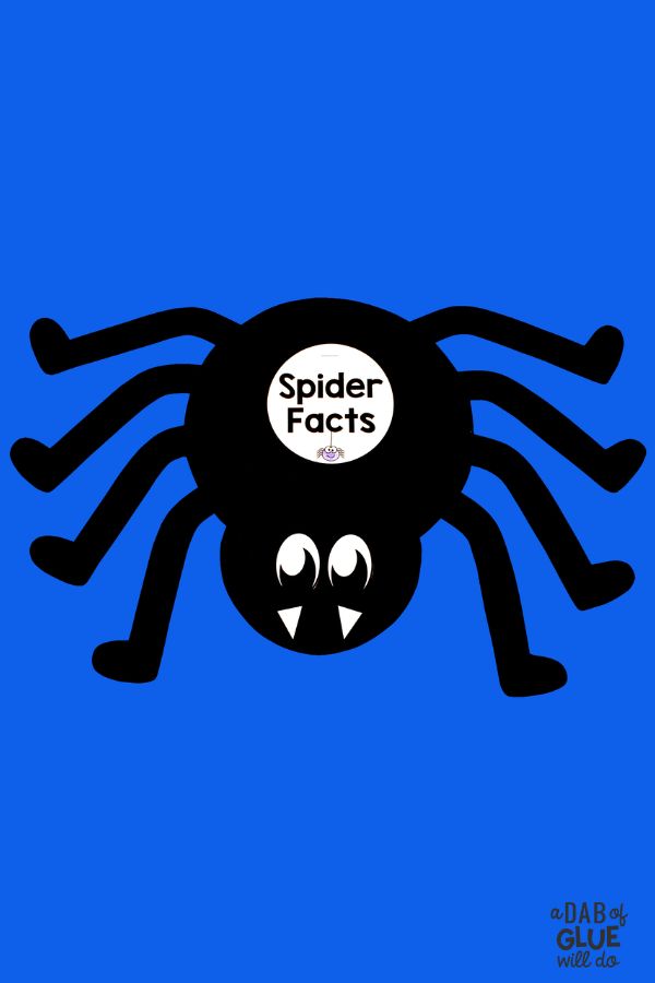 Spider facts crativity for spiders science unit