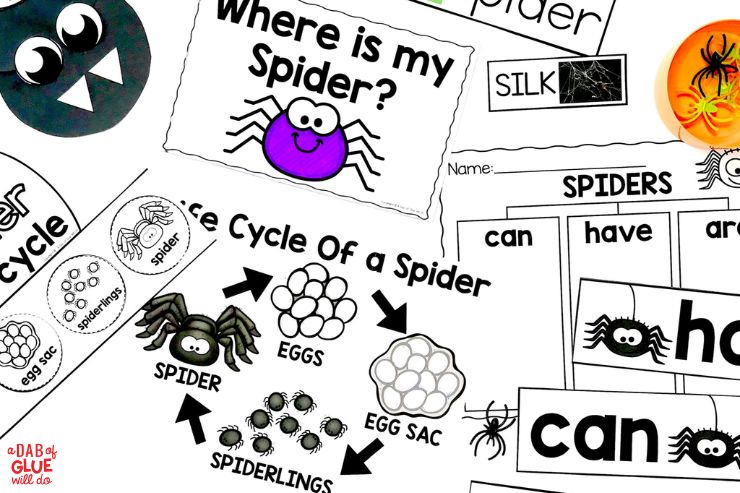 Bring science to life with this pre-k spiders science unit study! Fun for students with a spider life cycle worksheet, activities, & more!