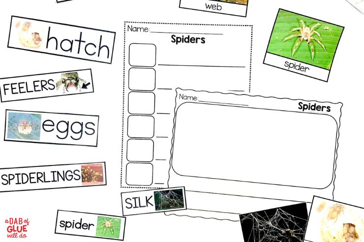 spiders science unit worksheets and hands-on writing center