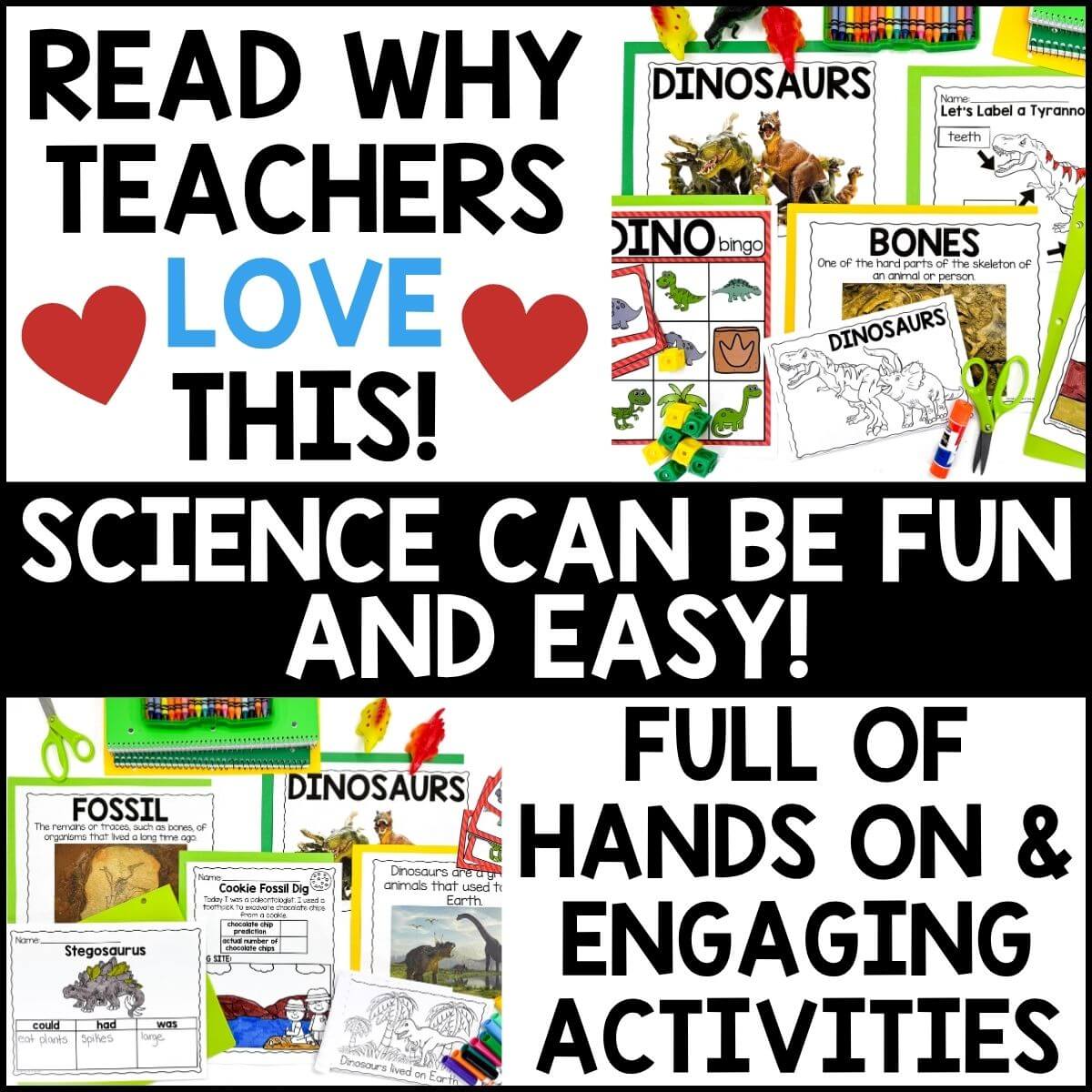 Dinosaurs Science Unit for Kindergarten - Image 3