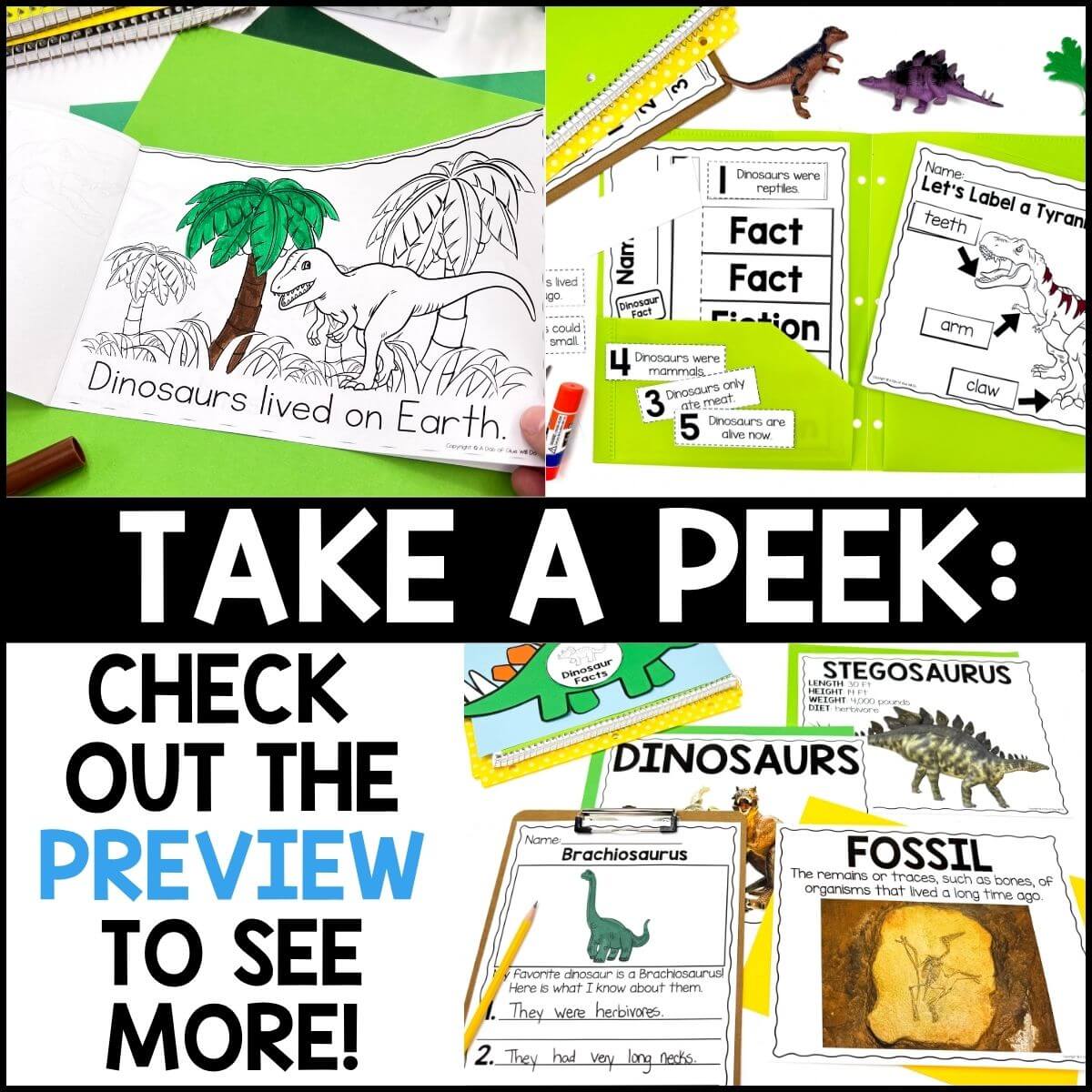 Dinosaurs Science Unit for Kindergarten - Image 4