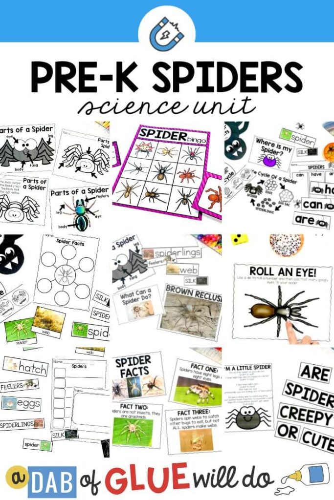 A collection of crafts and activities to teach young students about spiders