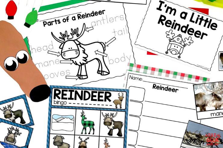 Pre-K Reindeer Science Unit: Animal Study - A Dab of Glue Will Do