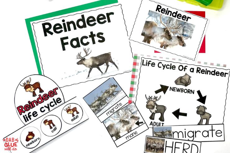 This pre-k reindeer science unit includes a variety of animal study activities that are perfect for the winter season!