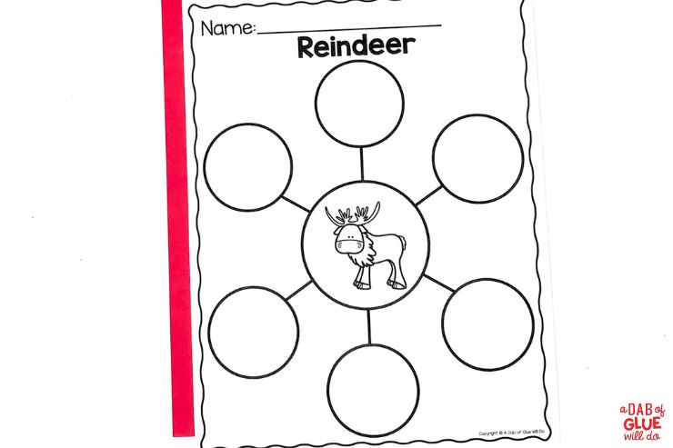 Pre-k Reindeer facts circle maps worksheet