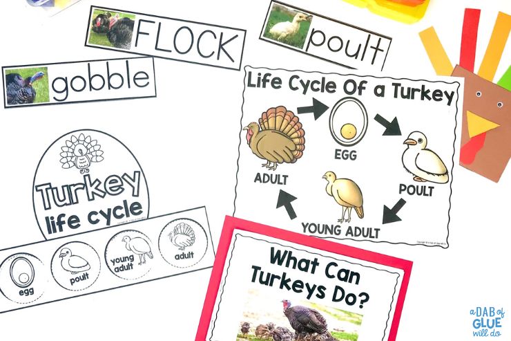 Get your pre-k students excited about science with this turkey themed unit! This pack includes a study of animals, including their physical characteristics and life cycles.