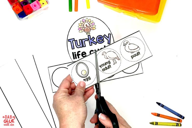 This pre-k turkey science unit is a fantastic way to study animals with your students. With this fun and informative study, students will learn all about turkeys! Turkey Life cycle hat and posters