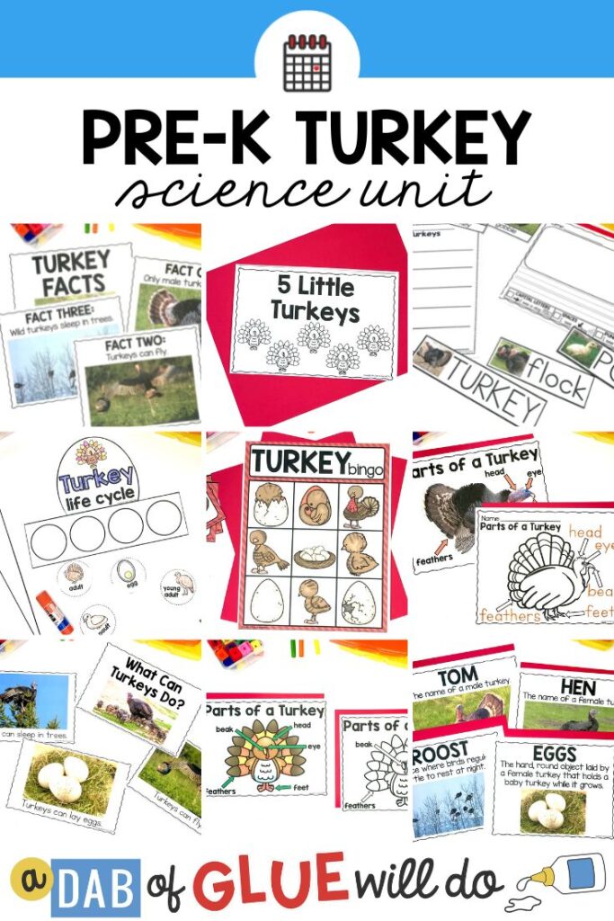 What better way to learn about turkeys than by doing a science unit on them? This pre-k turkey science unit has everything you need!