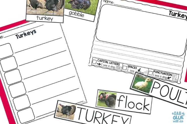 Looking for a pre-k science unit on turkeys? Look no further! This animal study unit has everything you need to get started.