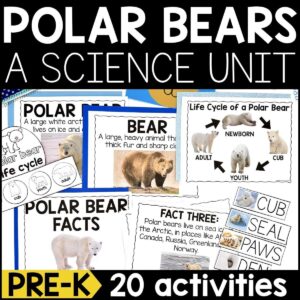 Polar Bear Animal Study for Pre-K