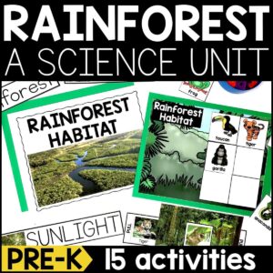 Rainforest Habitat for PreK