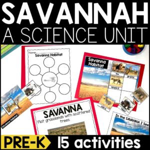 Savanna Habitat for PreK