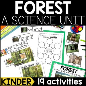 Forest Habitat for Kindergarten