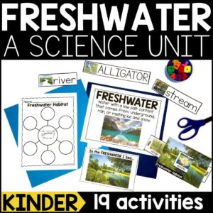 Freshwater Habitat for Kindergarten