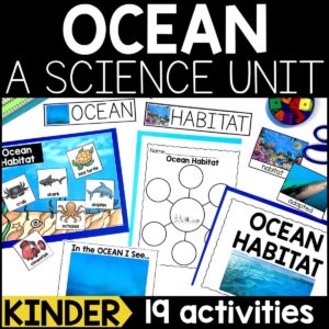 Ocean Habitat for Kindergarten