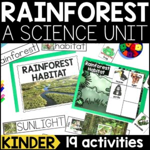 Rainforest Habitat for Kindergarten