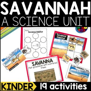 Savanna Habitat for Kindergarten