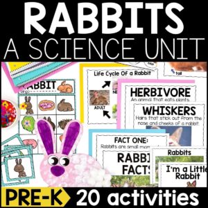 Rabbits Animal Study for Pre-K