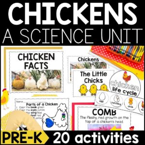 Chickens Animal Study for Pre-K