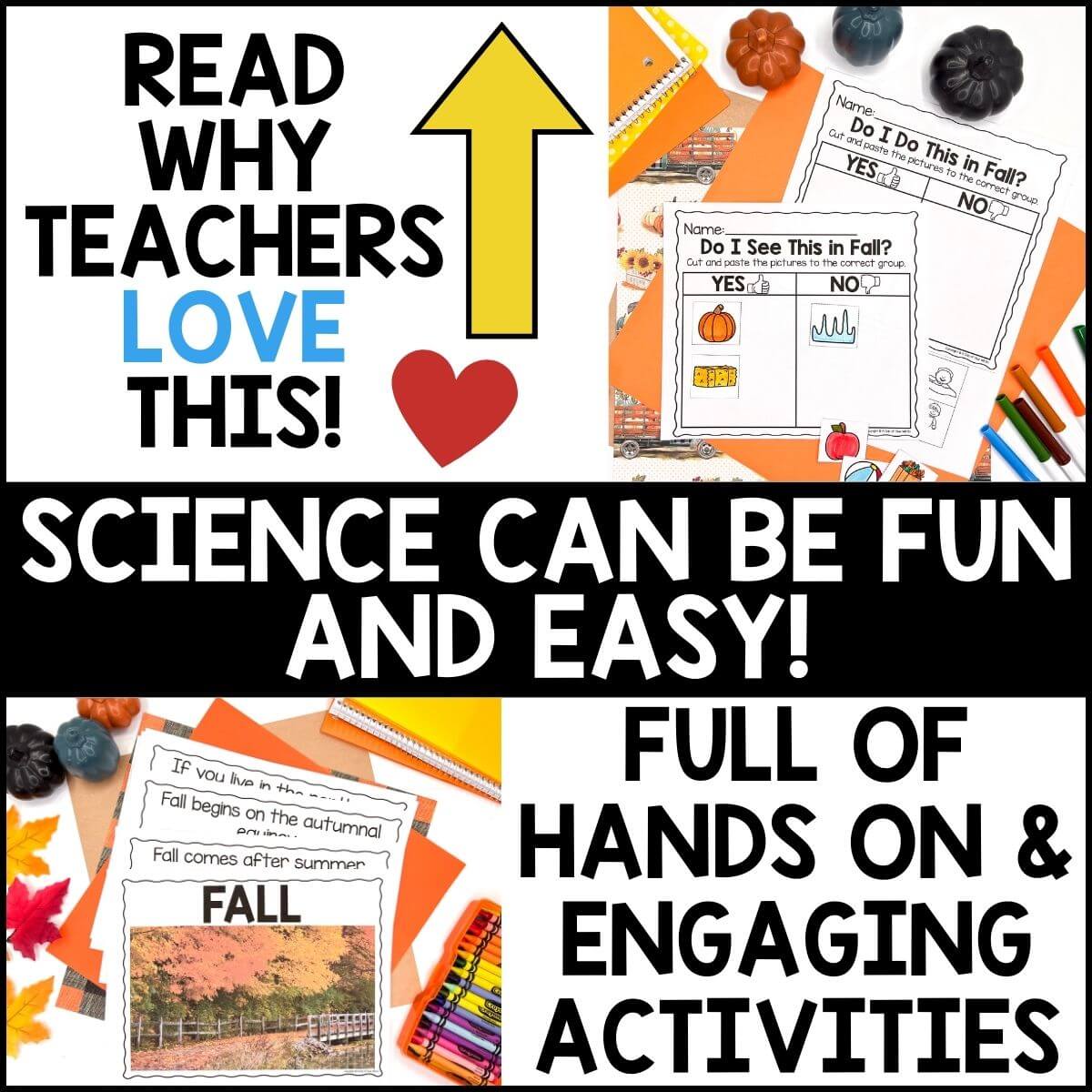 Fall Season Unit for Kindergarten - Image 3