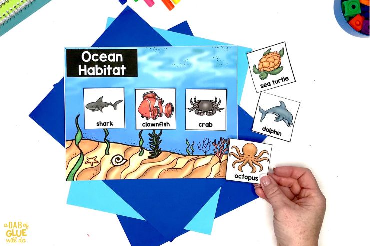 Ocean habitat animal match center 